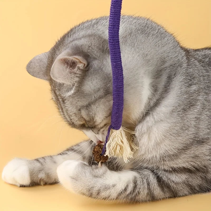Cat Bite Rope Toy