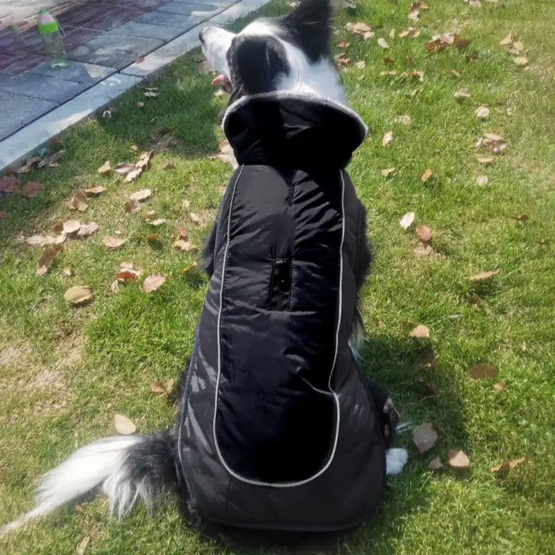 Warm Dog Jacket for Large Dogs - Reflective Snow Coat
