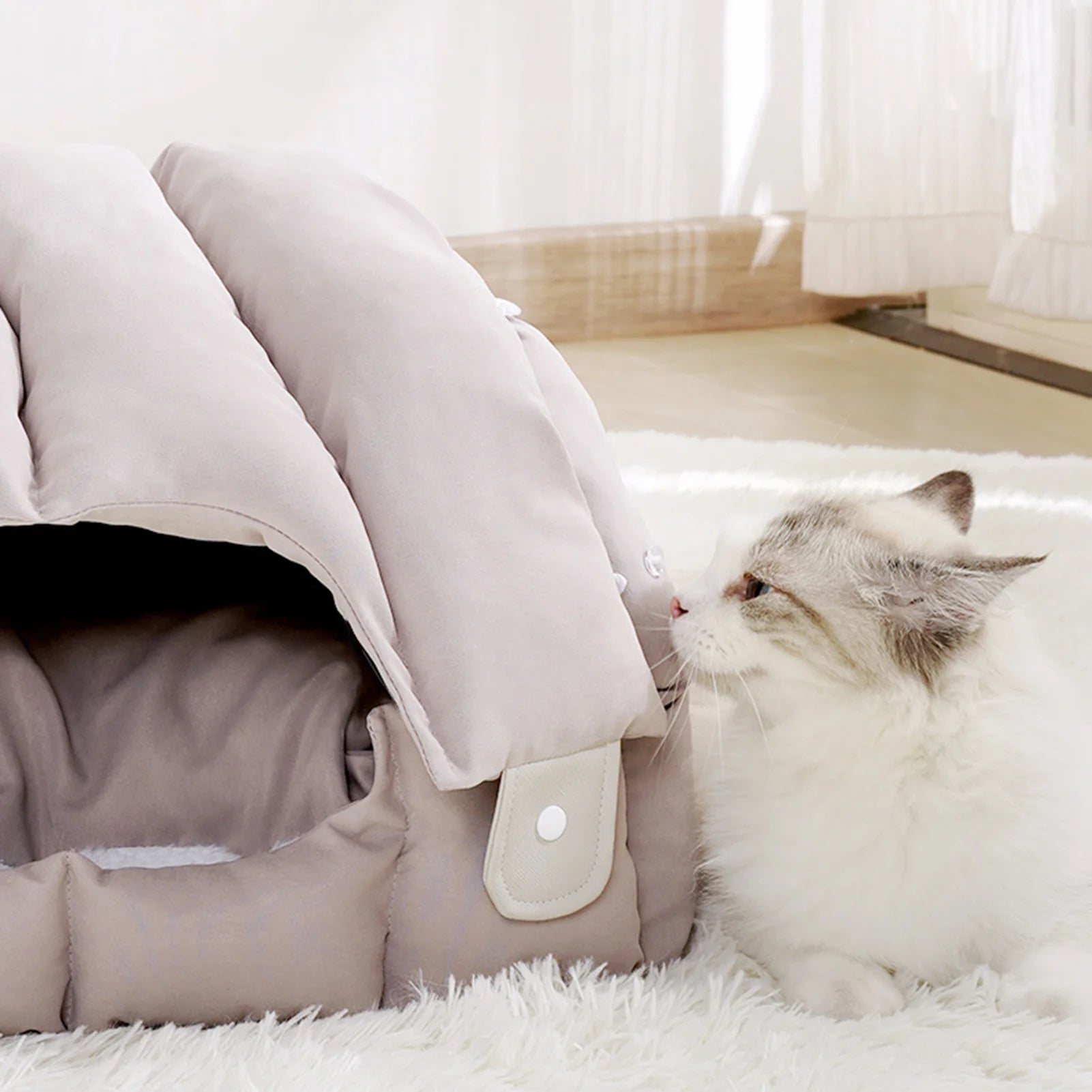 Pet Sofa Dual-Purpose Cat Bed with Adjustable Shape & Removable Cushion