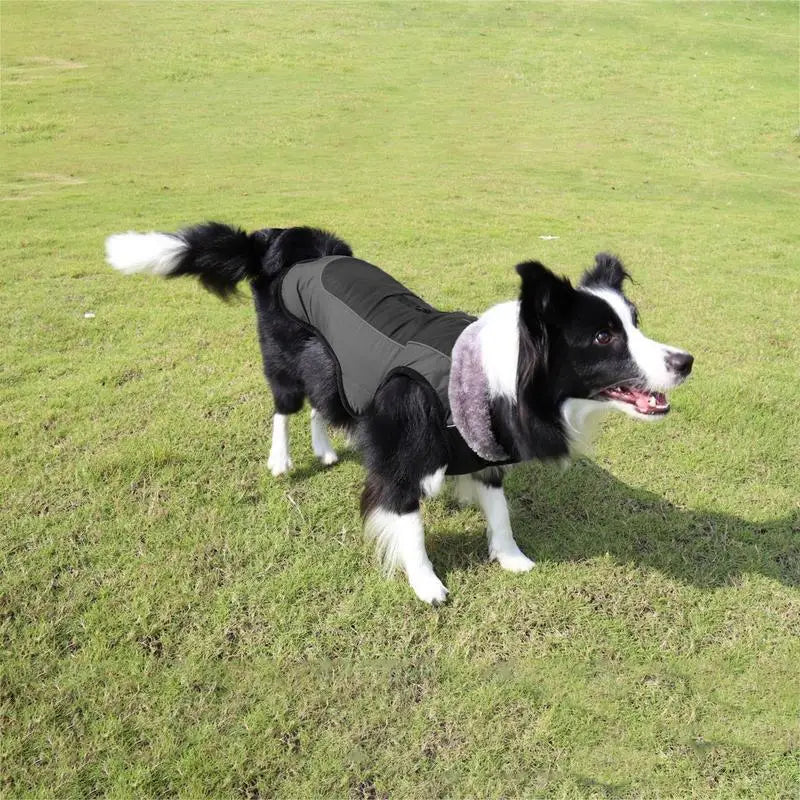 Warm Dog Jacket for Large Dogs - Reflective Snow Coat