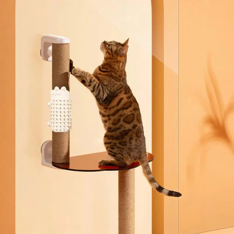 Cat Wall Brush Silicone Adjustable Pet Brush for Itching & Loose Hair Removal