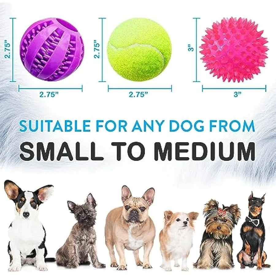 Pacific Pups 17pcs Dog Toy Bundle – Balls & Rope Toys for Pups