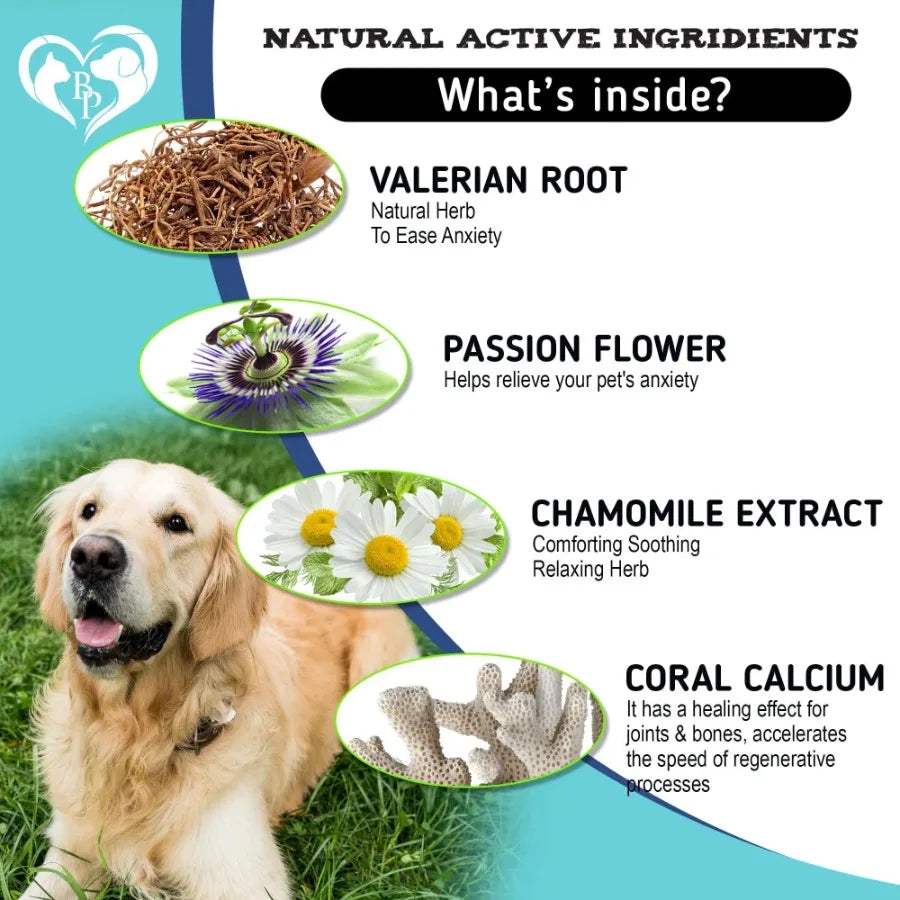 Hemp Calming Chews for Dogs - Separation Anxiety & Stress Relief Treats
