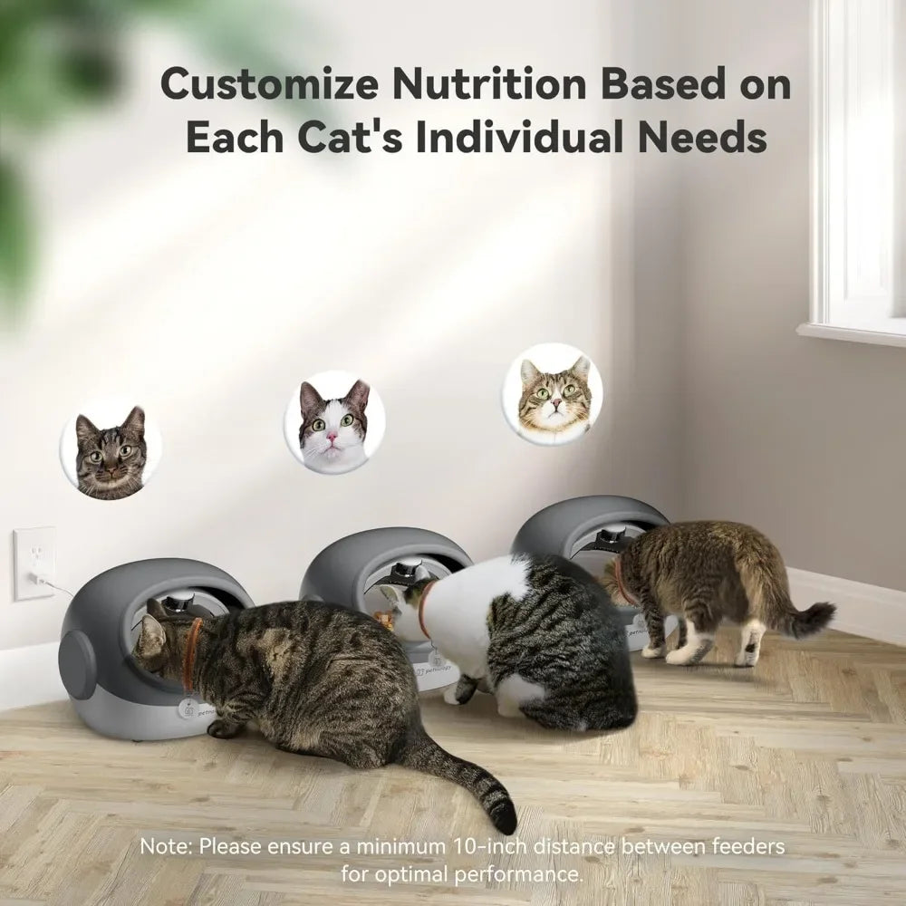 Automatic Cat Feeder with Collar Sensor - Timed Pet Food Dispenser for Multi-Cat Households