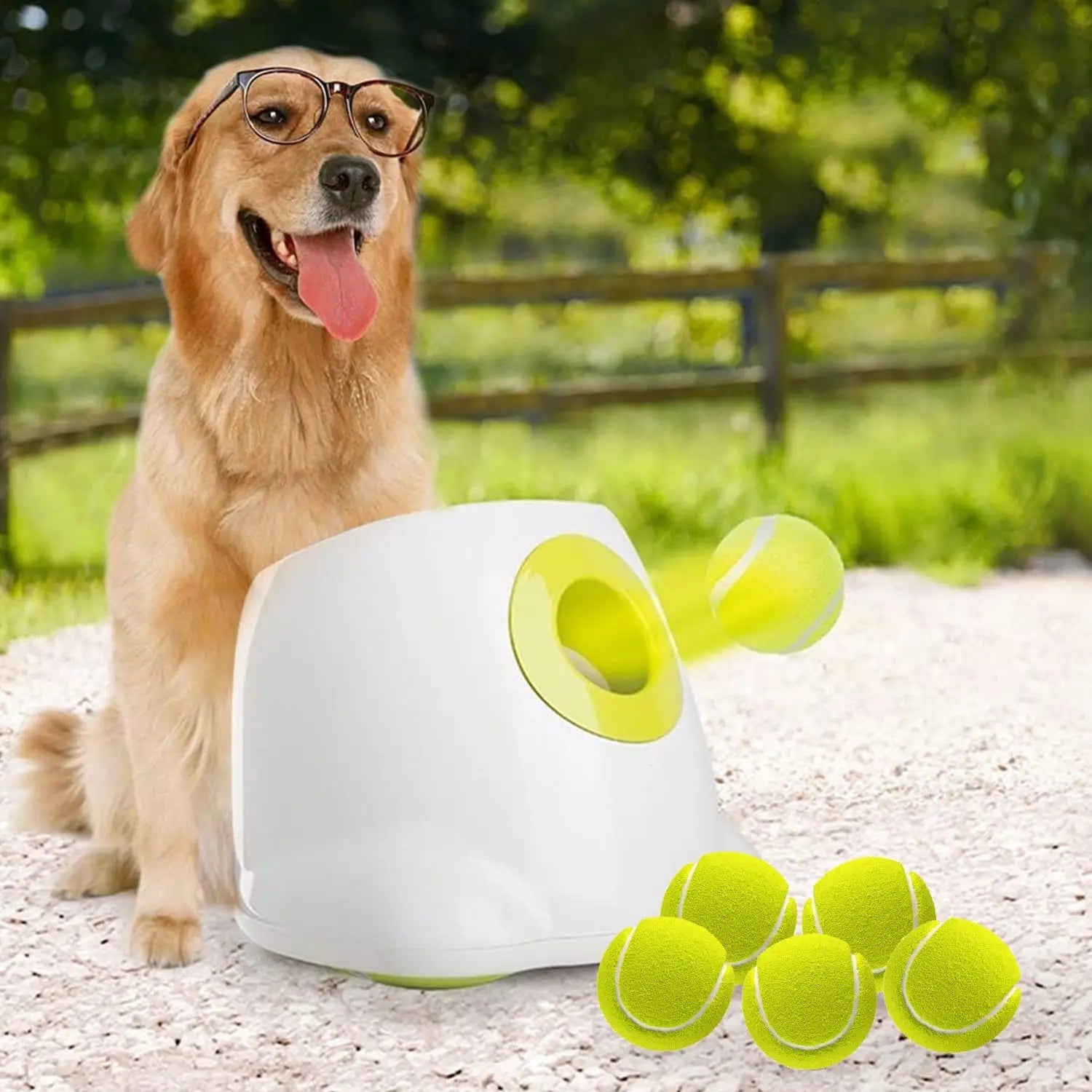Automatic Dog Ball Launcher - Interactive Tennis Ball Thrower for Dogs
