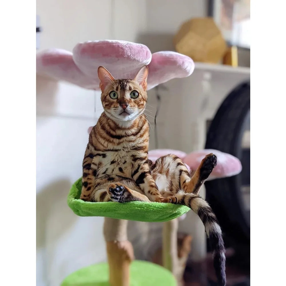 Luxury Wooden Cat Tower & Condo – Cats Furniture Bed