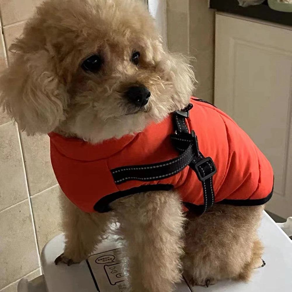 Waterproof Winter Dog Coat with Harness – Warm Pet Jacket for Chihuahua, Pug, French Bulldog