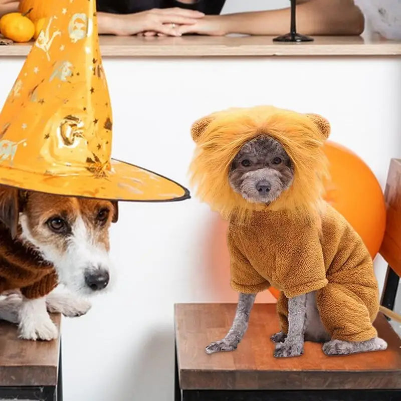 Cute Pet Dog Clothes Lion Costume Cartoon Tiger Hoodie Cosplay Dress Up