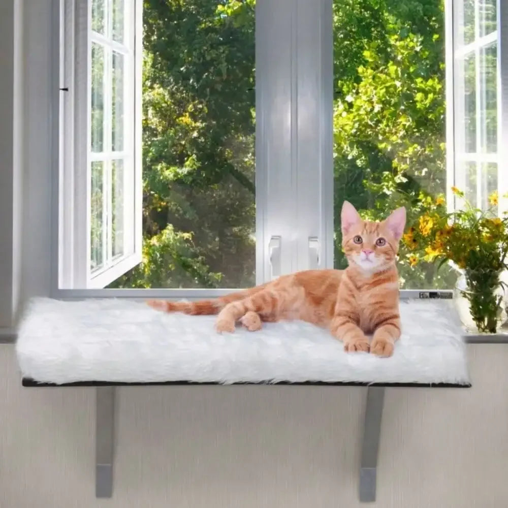 Window Installation Cat Habitat Window Bed Shelf Seat for Sill