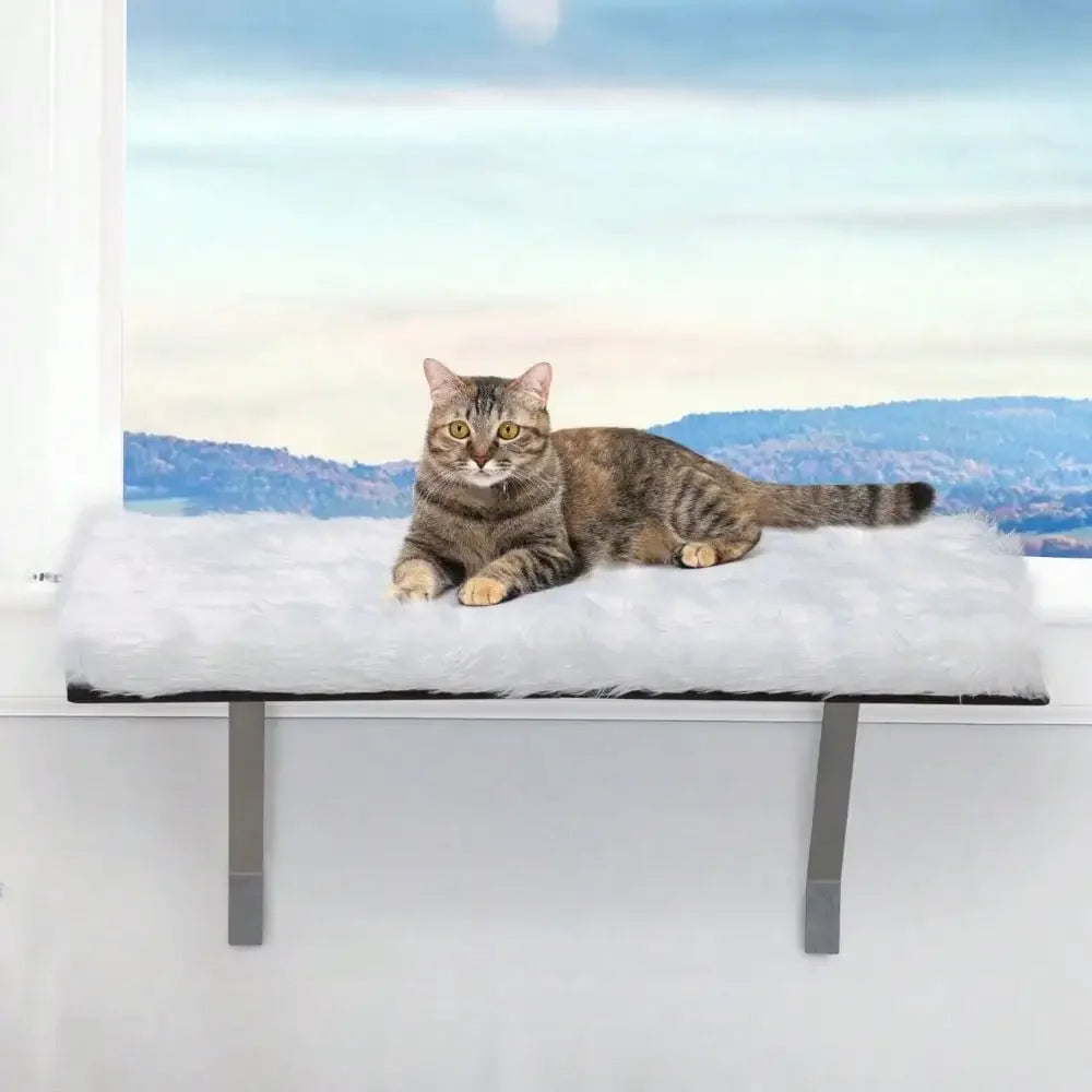 Window Installation Cat Habitat Window Bed Shelf Seat for Sill