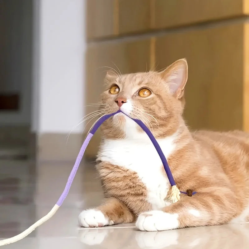 Cat Bite Rope Toy