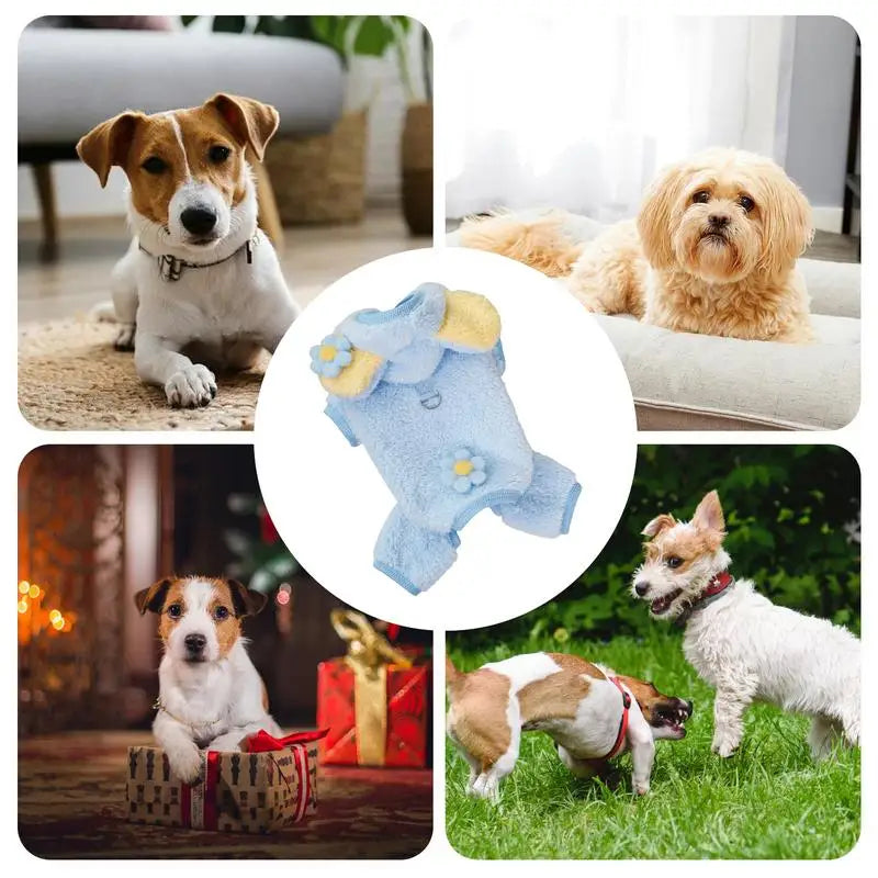 Cute Bear Dog Sweater – Warm Plush Pet Coat for Small Dogs & Cats